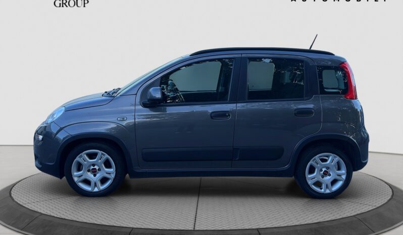 FIAT Panda 3ª serie Panda 1.0 FireFly S&S Hybrid City Life pieno