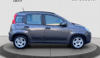 FIAT Panda 3ª serie Panda 1.0 FireFly S&S Hybrid City Life pieno