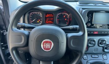 FIAT Panda 3ª serie Panda 1.0 FireFly S&S Hybrid City Life pieno