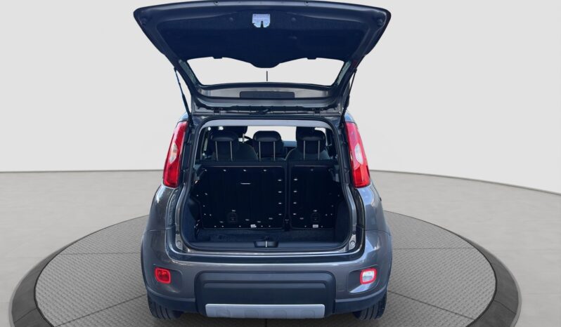 FIAT Panda 3ª serie Panda 1.0 FireFly S&S Hybrid City Life pieno